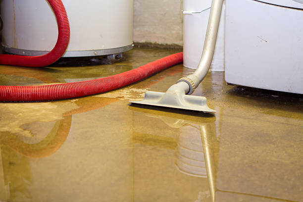 Best Water damage restoration services  in Genoa, OH