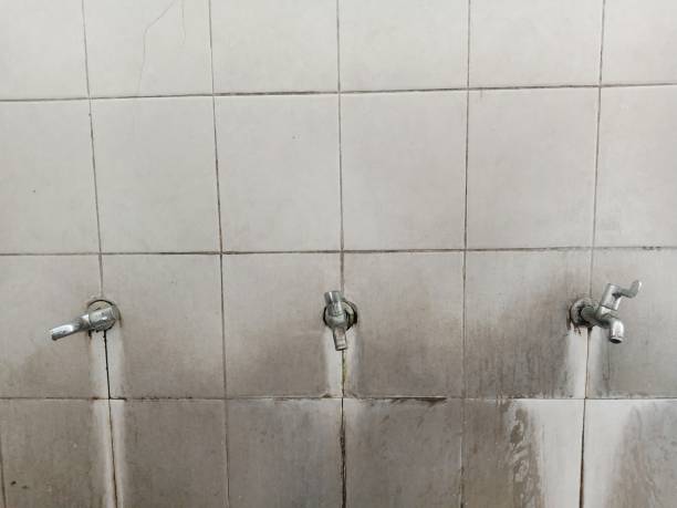 Best Water damage restoration near me  in Genoa, OH