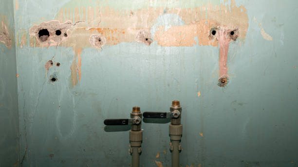 Best Professional water damage repair  in Genoa, OH