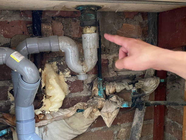 Best 24-hour water damage restoration  in Genoa, OH