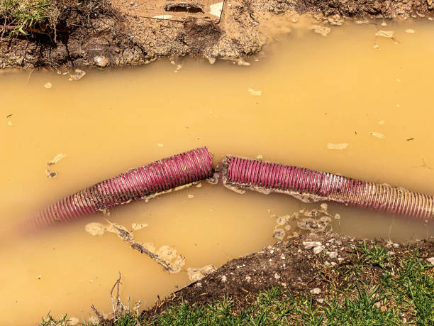 Reliable Genoa, OH Water damage restoration Solutions