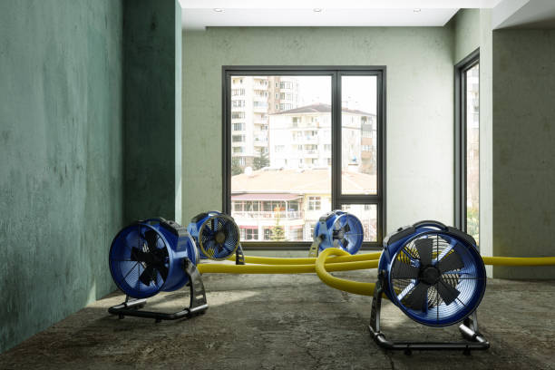 Best Ceiling water damage repair  in Genoa, OH